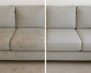 Clean Sofa in cozy living room