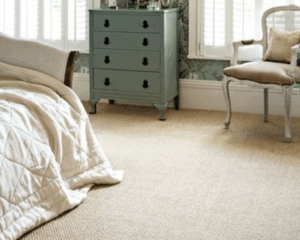 Modern home with clean carpet