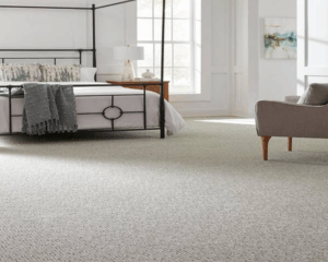 Modern home with clean carpet